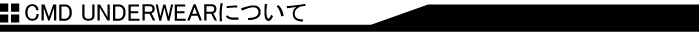 CMD UNDERWEAR�ˤĤ���